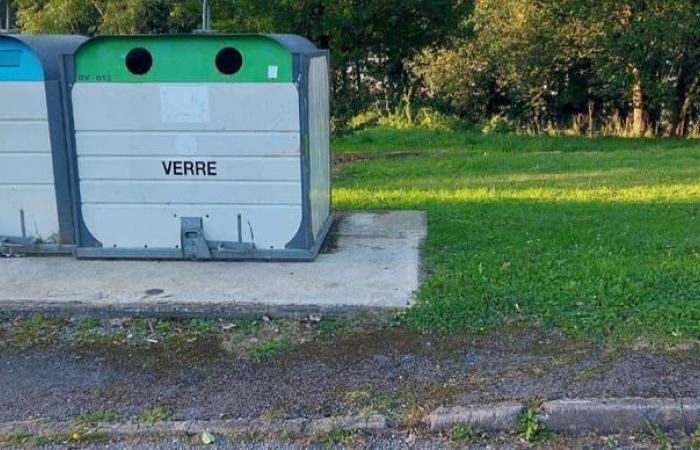 en allant jeter ses déchets, elle entend miauler dans un carton au pied des poubelles