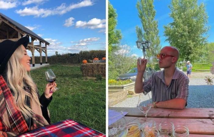 Voici le tour de vignoble ultime à faire cet automne en Montérégie sans se ruiner