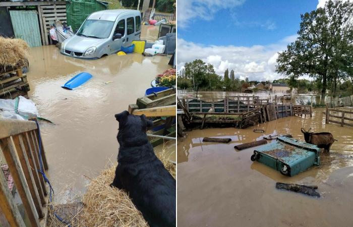 Après Kirk, crues et inondations importantes dans plusieurs régions 10/10/2024