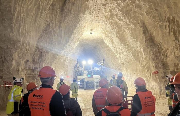 A 80 m sous terre, une carrière de gypse du Val-d’Oise ouverte au public