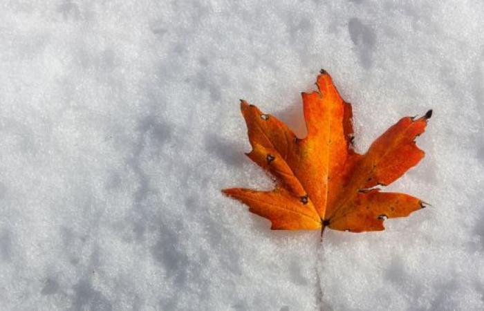 la neige est déjà en route