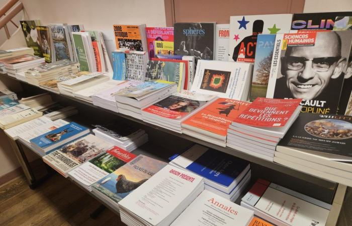 le marché du magazine en 2024