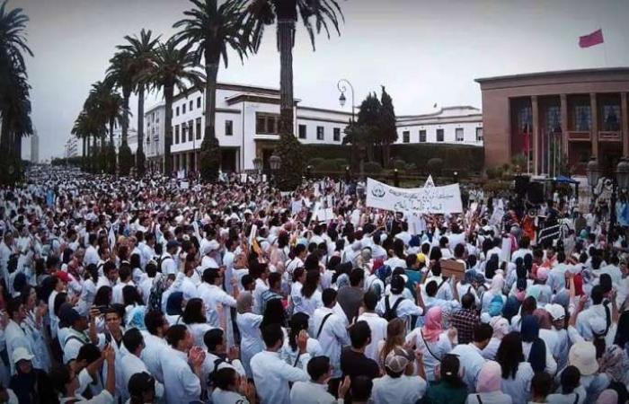 « Le ministère a répondu favorablement à toutes les demandes des étudiants en médecine »