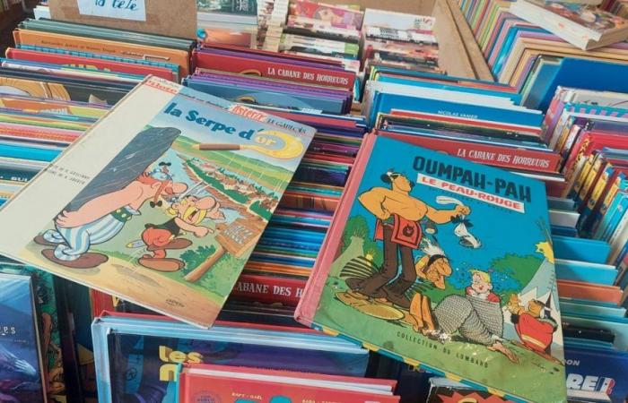 Le Salon du livre de Belfort voit grand pour sa 50ème édition