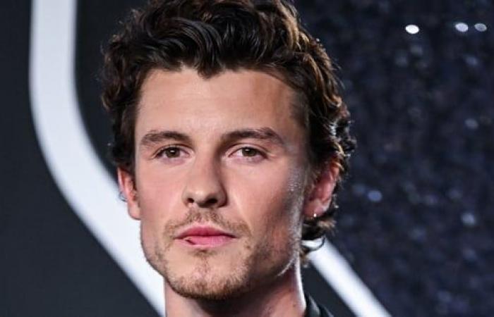 La décision radicale de Shawn Mendes après l’échec de ses singles