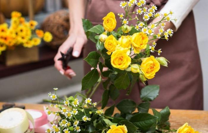 une ex-fleuriste affirme que les pesticides ont tué sa fille