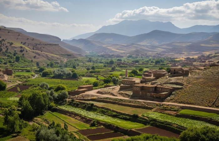 Bulletin météo. Les températures augmentent dans le sud du pays ce jeudi 10 octobre, avec des pluies éparses dans différentes régions