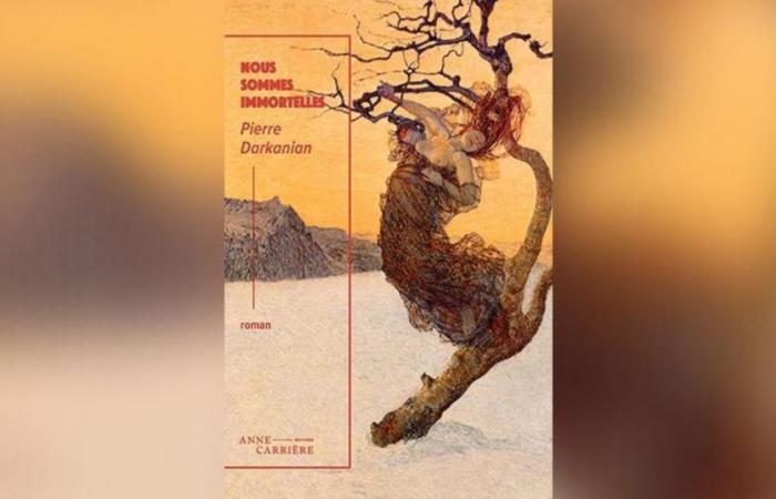 Nous sommes immortels, de Pierre Darkanian : au coeur des ténèbres