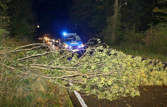 Accidents, fermetures de routes et annulations de trains