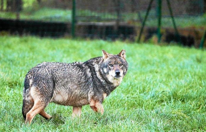 des éleveurs satisfaits après une rencontre avec le préfet