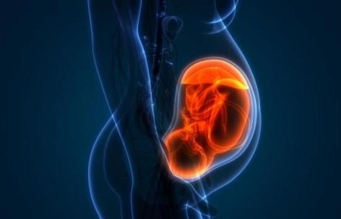 des changements dans le placenta augmenteraient les risques