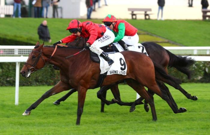 Gilded Dragon s’impose avec Marie Vélon dans le quinté du jour