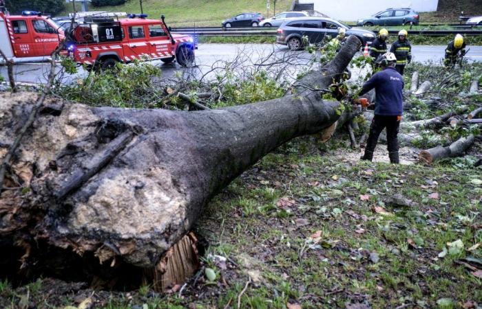 2 000 personnes toujours privées d’électricité à cause de la tempête