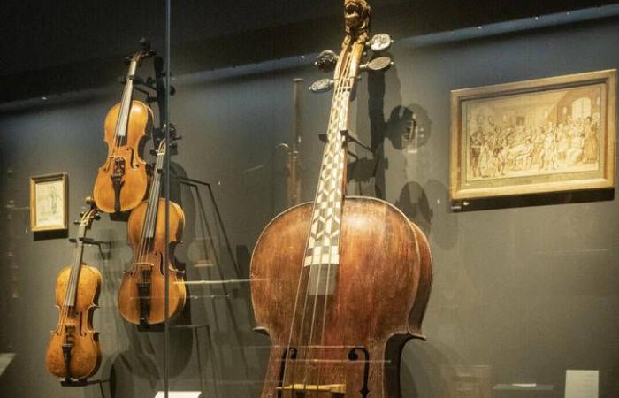 L’autopsie d’un violon, ou comment faire parler les instruments de musique de leur passé