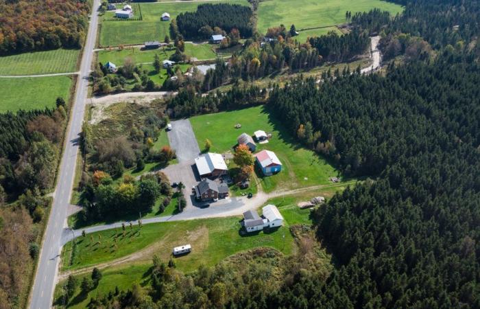 Fortifications et gardes armés | Comment les Hells se préparent au combat