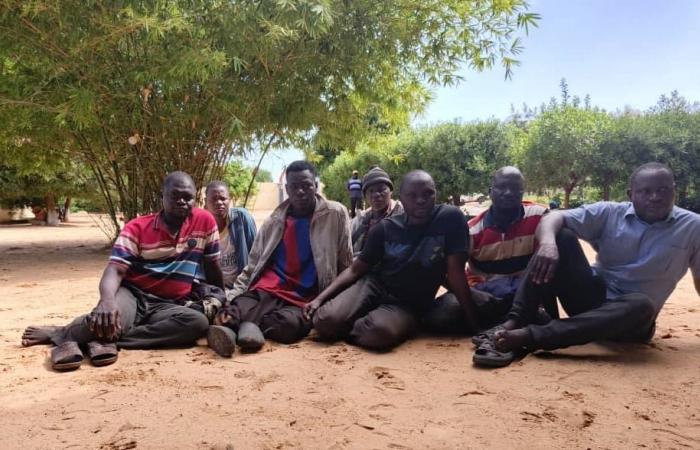 Tchad : la police libère sept otages camerounais