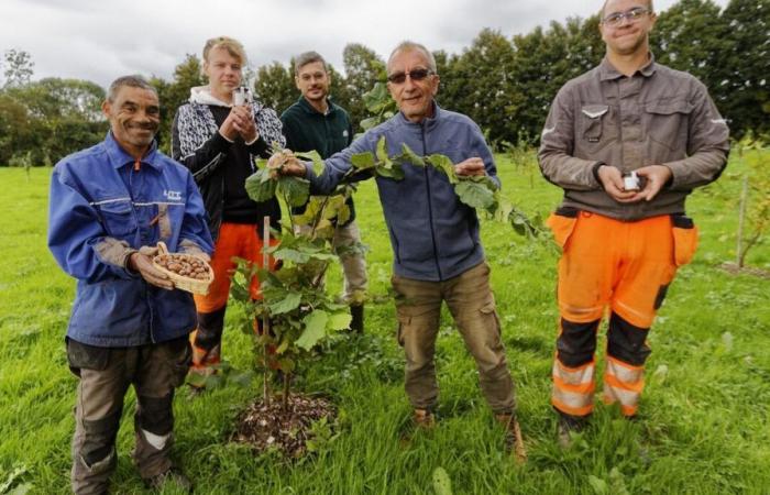 près de Rouen, des confiseries Esat seront bientôt produites à base de noisettes, de miel et de fruits locaux