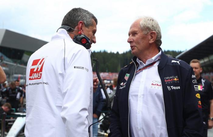 Gunther Steiner parie que Max Verstappen ne sera pas champion en 2024