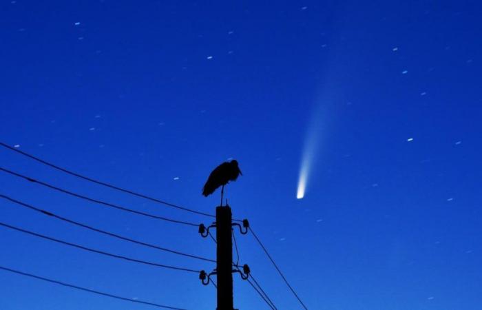 Une comète visible à l’œil nu dans le ciel belge ce vendredi : ce qu’il faut savoir