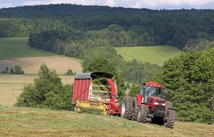 Le prix des terres agricoles bondit de 5,4% en quelques mois seulement