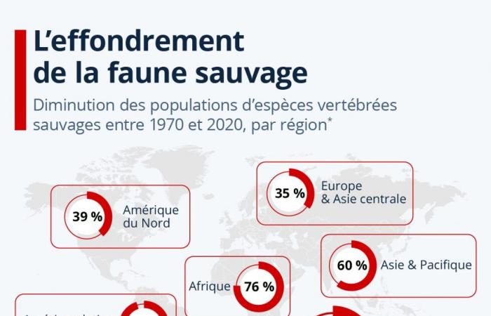 L’effondrement mondial de la faune