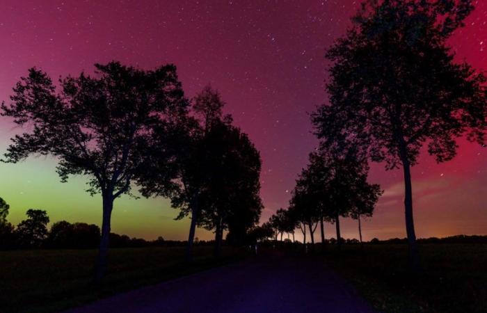 Une tempête solaire fait danser les aurores boréales au-dessus de l’Allemagne