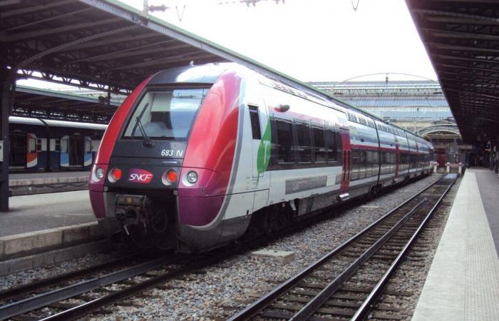 une partie de la ligne P interrompue pendant plusieurs semaines