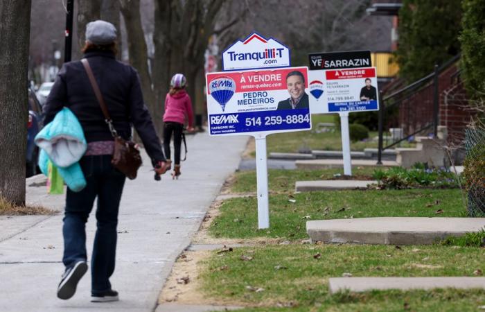 Étude Royal LePage | Le calme avant la tempête