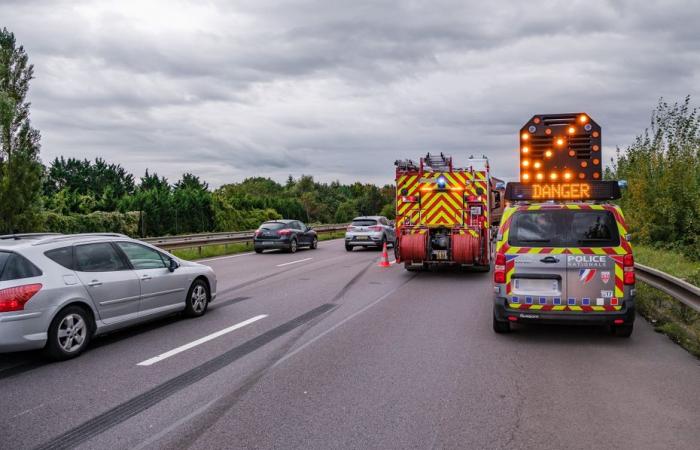 Un appel à témoins lancé par les gendarmes après un violent accident sur l’autoroute A68