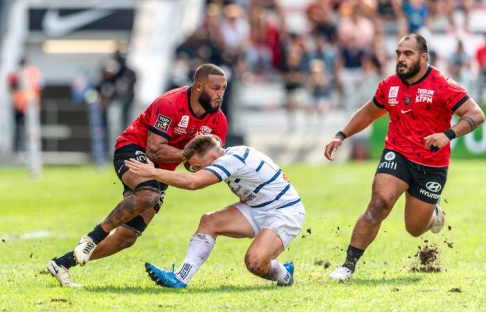 Le troisième ligne anglais Lewis Ludlam, nouveau rock du RCT