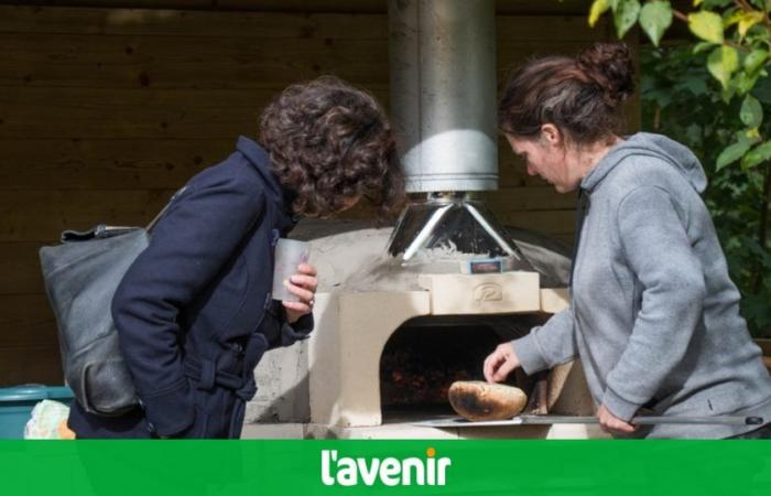 du bon pain à partager au fond du jardin