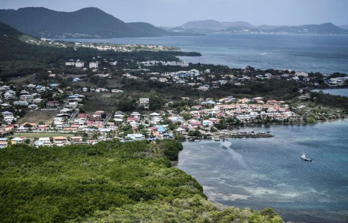 des prix 40% plus chers en Martinique qu’en France métropolitaine