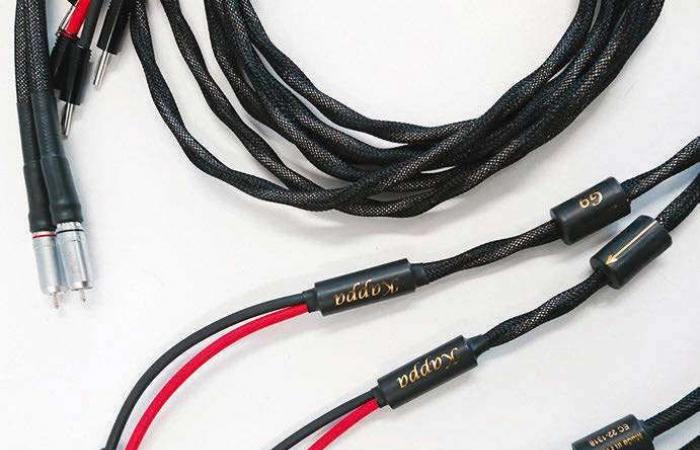 Esprit Kappa Modul + Kappa HP cables