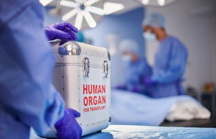 Six receveurs de transplantation d’organes sont testés positifs au VIH, un audit urgent est lancé