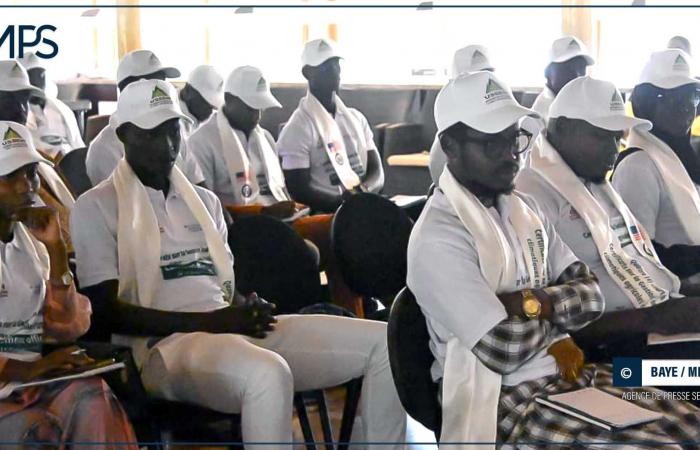 un conseiller culturel mise sur les partenariats pays – Agence de presse sénégalaise