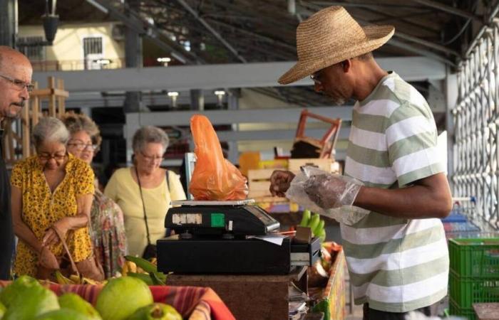 Martinique. Écarts de prix, pauvreté… Ces quatre graphiques qui illustrent le coût de la vie sur l’île