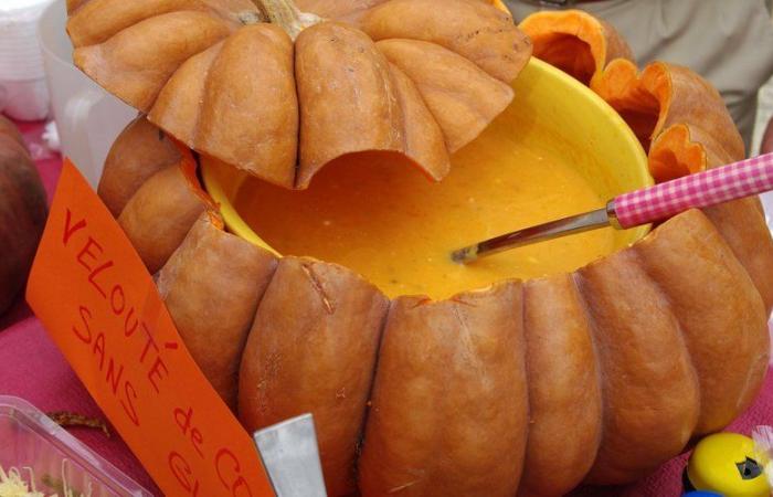 foire au chocolat, fête du squash, cinéma décontracté… des idées pour ce dimanche 13 octobre