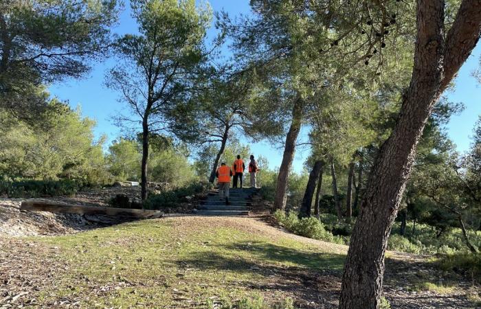 NÎMES L’école de chasse et nature comme exemple