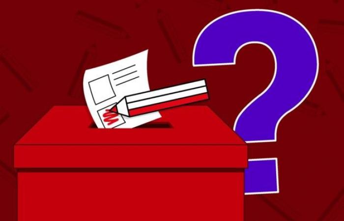 Faut-il voter ? Comment voter valablement ? Et quelles sont les nouvelles règles ? Votre guide pratique des élections