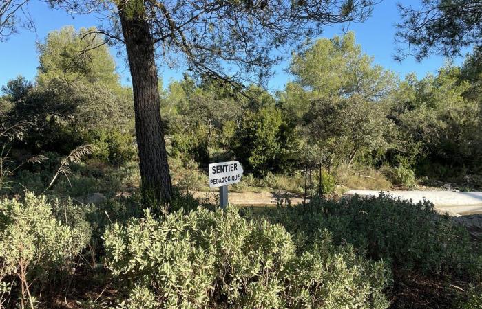 NÎMES L’école de chasse et nature comme exemple