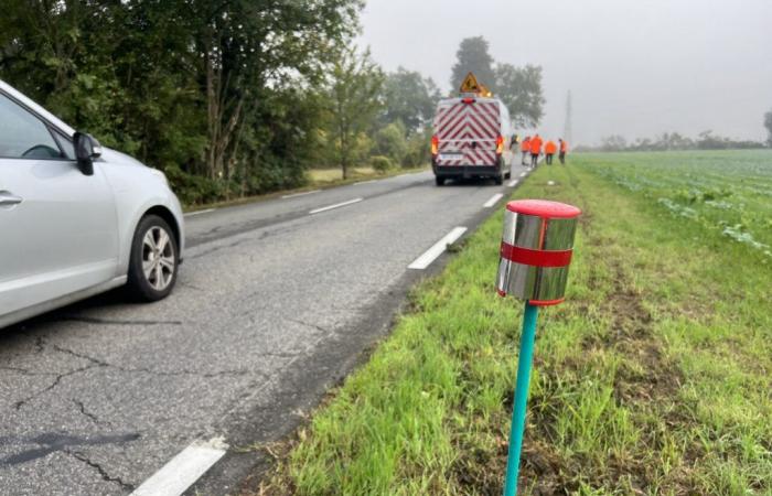 Près de Toulouse. C’est quoi ces drôles de piquets installés le long des routes ?