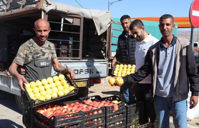 La vente directe des pommes, seule solution pour faire baisser les prix ?