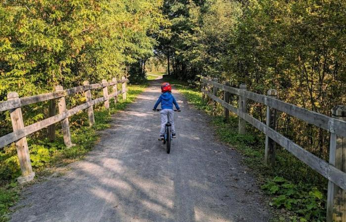 Saumurois. Quel bilan pour Vélo Francette après 10 ans d’existence ?