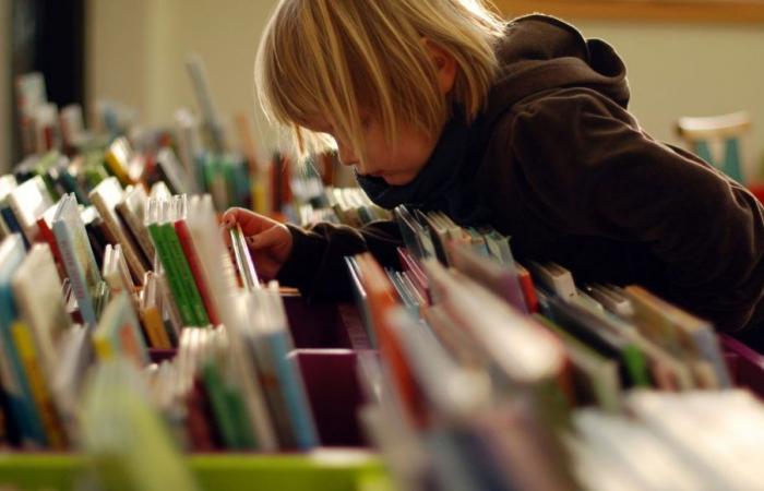 Le salon du livre et du jouet revient à Chéniers