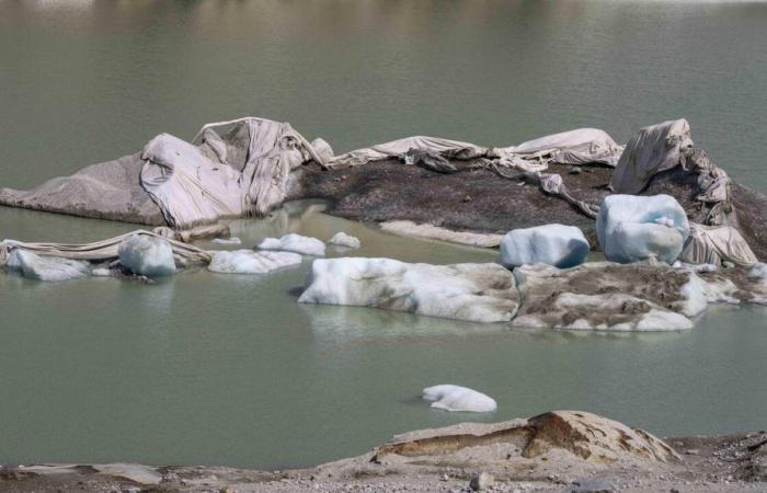 L’offensive littéraire des climato-sceptiques pour semer le doute