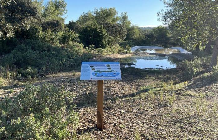 NÎMES L’école de chasse et nature comme exemple