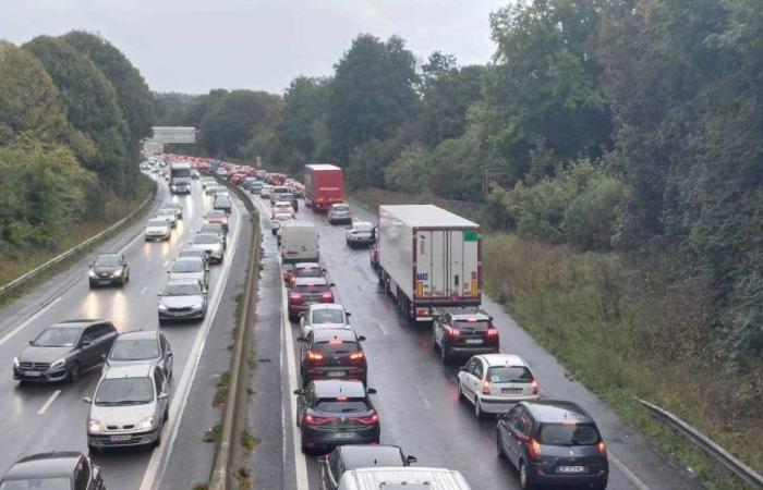 L’action approche, réchauffement de la mer, nouveau pont… l’actualité de ce week-end à Caen