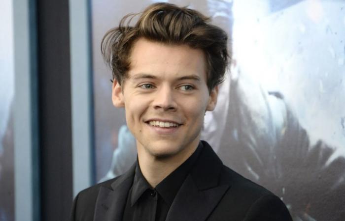 Découvrez les luxueuses résidences de Harry Styles à travers le monde – Actual Immo