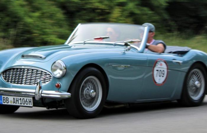 Austin-Healey ou l’œuvre d’un Anglais farouche