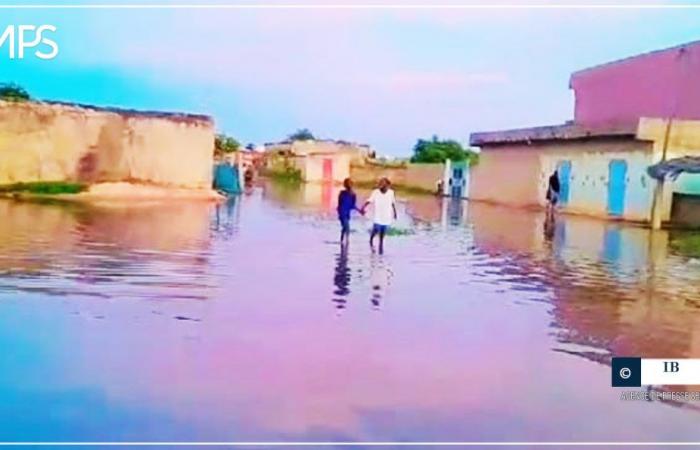 plusieurs villages envahis par les eaux des fleuves Sénégal et Falémé – Agence de presse sénégalaise